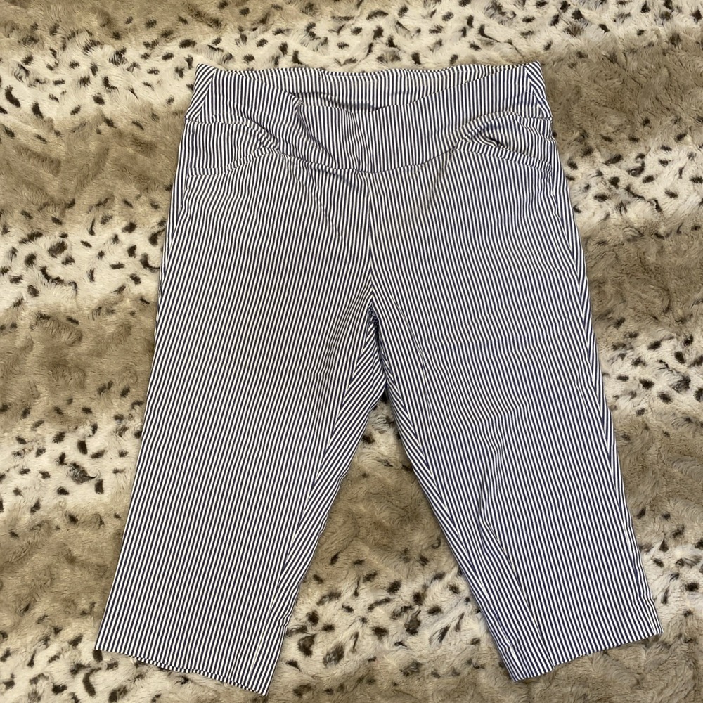 Christopher & Banks Capri Pants Size 10P Blue White Pinstripe Slim Leg ( 32x16)